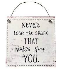 Never Lose the Spark Hanging Sign